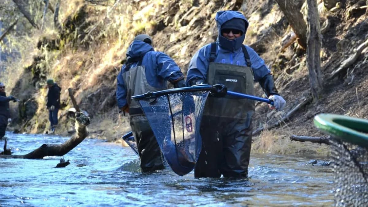 Inicio de la temporada de pesca deportiva en Tierra del Fuego: costos y regulaciones