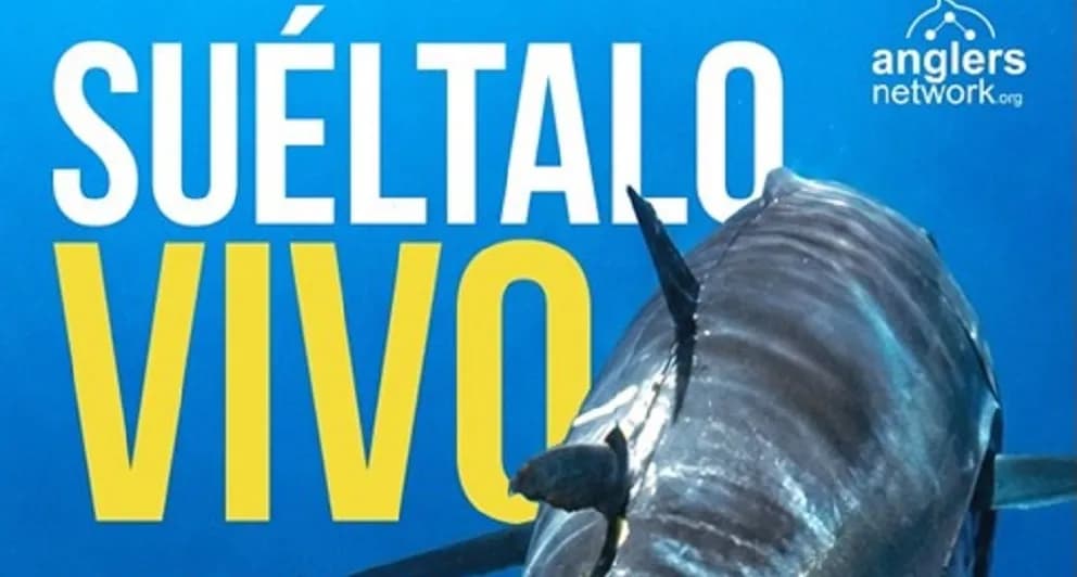 Campaña 'Suéltalo vivo' busca reducir muertes accidentales de atún rojo